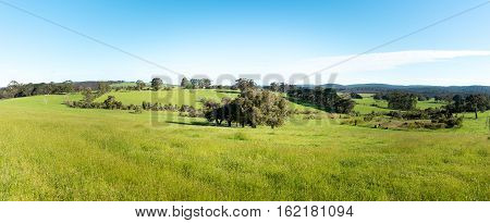 Green field and blue sky Walpole Australia .