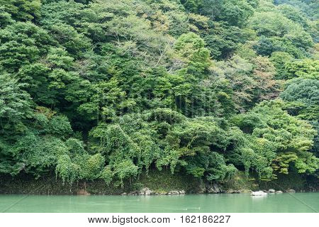 Lake in Arashiyama of Japan