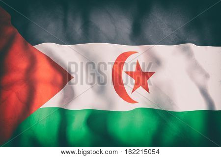 Sahrawi Arab Democratic Republic Flag Waving