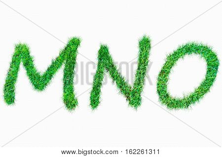 Green Nature Real Grasss Abc Font.