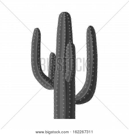Mexican cactus icon in monochrome style isolated on white background. Mexico country symbol vector illustration.