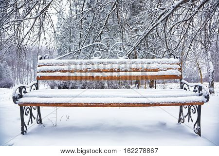 Park bench and trees covered by heavy snow. Lots of snow