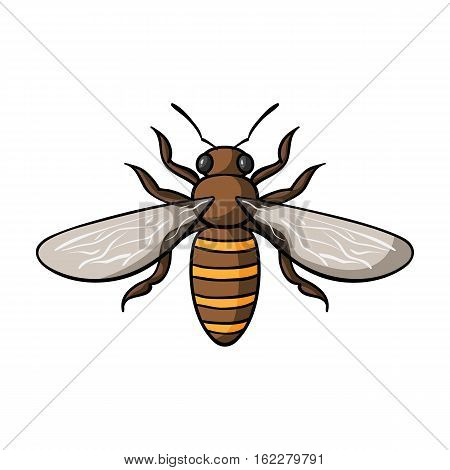 Bee icon in cartoon design isolated on white background. Insects symbol stock vector illustration.