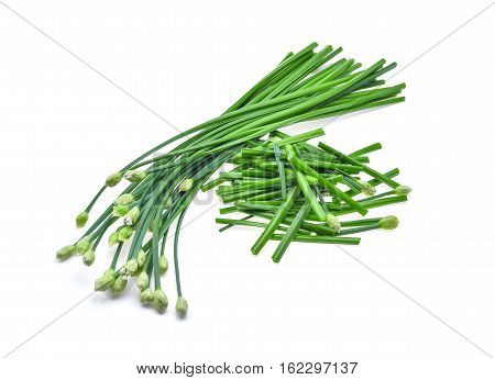 fresh green chinese chives isolated on white background
