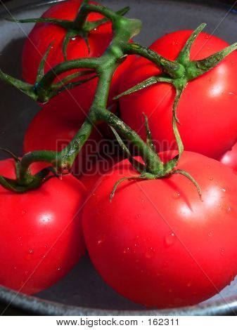 rot Tomaten auf Weinrebe