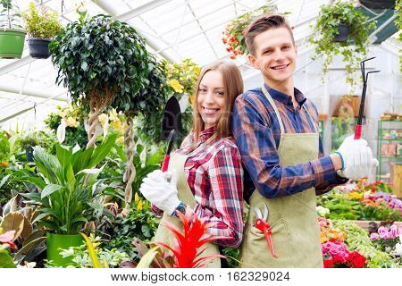 Working In The Greenhouse