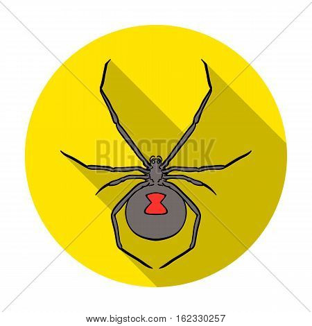 Black widow spider icon in flat design isolated on white background. Insects symbol stock vector illustration.