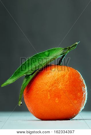 Ripe mandarin with leaf close-up on cyan gradien background. Tangerine orange with leaf on grey background.