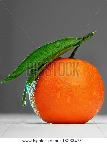 Ripe mandarin with leaf close-up on grey gradien background. Tangerine orange with leaf on grey background.