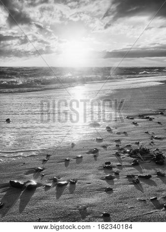 Beach Sand With Stones And Water Trails. Traces On Beach At Smooth Sea,