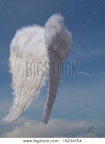 Himmelske vinger