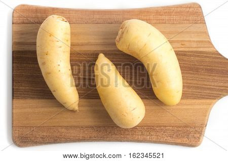 Barred Potato. Baroa isolated on white background