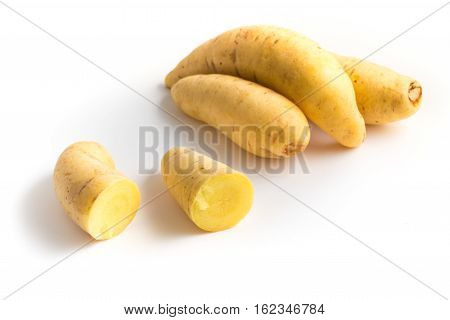 Barred Potato. Baroa isolated on white background