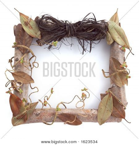 Natur Frame-3