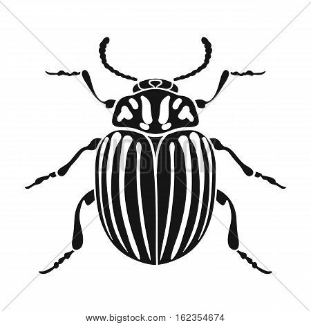 Colorado beetle icon in black design isolated on white background. Insects symbol stock vector illustration.