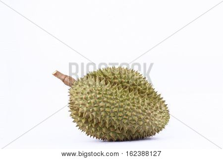 durian mon thong  is fruit  tropical durian and  king of fruits durian on white background healthy durian fruit food isolated