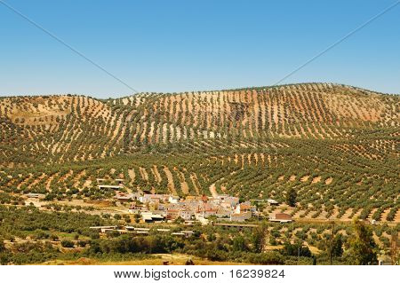 Encinas Reales, Dorf in Andalusien, Spanien