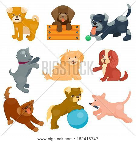 Vector illustration cute dogs characters. Set of funny purebred puppy on white background. Comic smile happy mammal breed drawing icon. Pedigree terrier canine adorable animal.