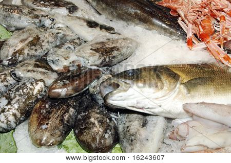 さまざまな魚や魚介類を販売する準備ができての山