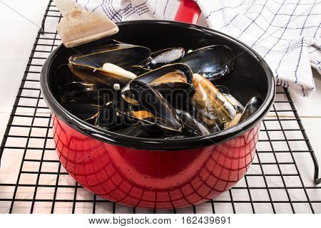 freshly cooked scottish mussels in a red enamel pot