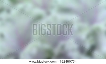 Blue-green And Purple Background.
