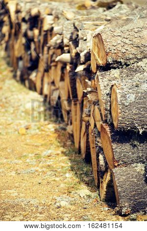 A lot of firewood stacked and ready for use.