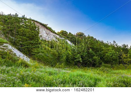 Young pine trees at the foot of the chalk hills. The archaeological monument - Krapivinskaya settlement Belgorod region Russia.