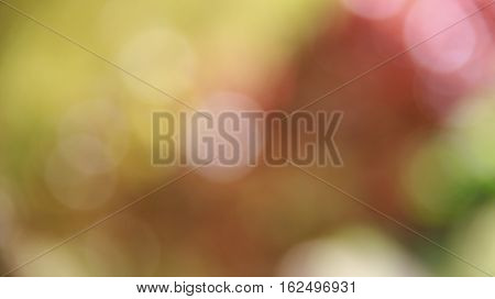 Yellow and orange gradient bokeh effect. bokeh background