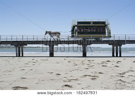 Victor Harbor SA Australia - Dec 20 2016: Horse Drawn Tram traveling along the bridge from Granite Island filled with tourists and the conductor clearly seen in silhouette.