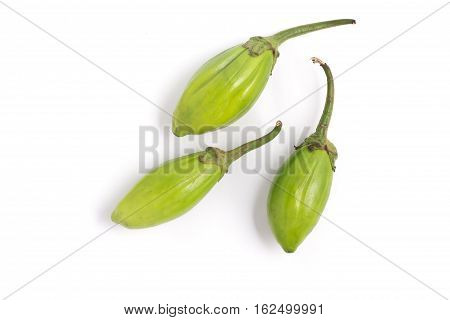 Jilo Scarlet. African Eggplant isolated on white background
