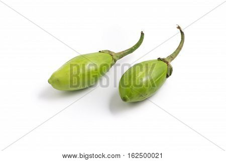 Jilo Scarlet. African Eggplant isolated on white background