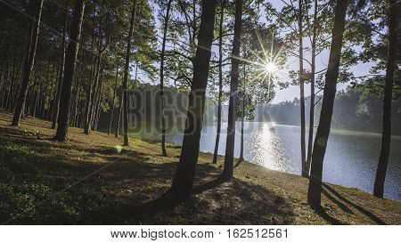Sunrise at Pang Ung pine forest park, Pang Ung Mae Hong Son, Thailand