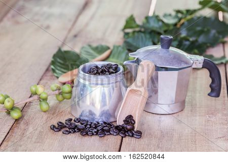 Fresh Coffee Beans On Wood With A  Moga Pot