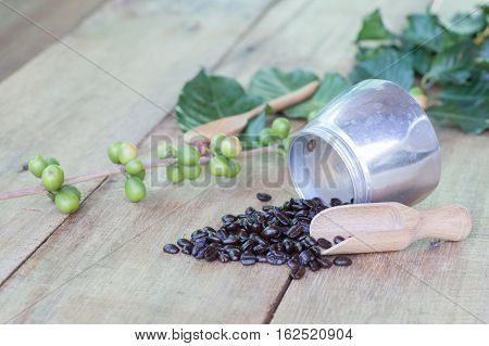 Fresh coffee beans on wood with a moga pot
