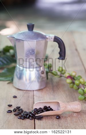 Fresh coffee beans on wood with a moga pot