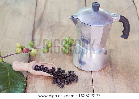 Fresh coffee beans on wood with a moga pot