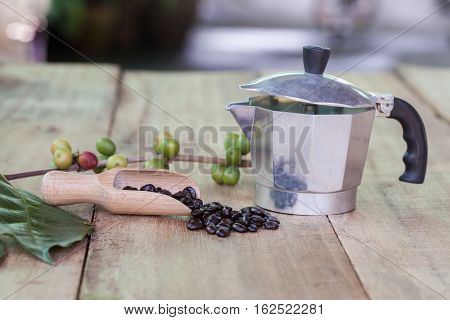 Fresh coffee beans on wood with a moga pot