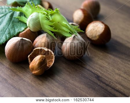 Filbert, Hazelnut Green