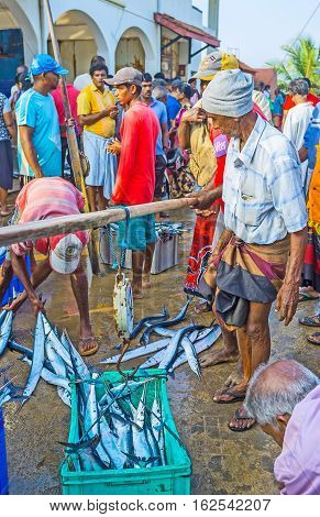 HIKKADUWA SRI LANKA - DECEMBER 5 2016: The fishermen brought fish from harbor and weighs it at market on December 5 in Hikkaduwa.