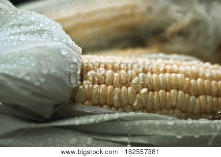 Sweet Corn With Yellow And Green Color.