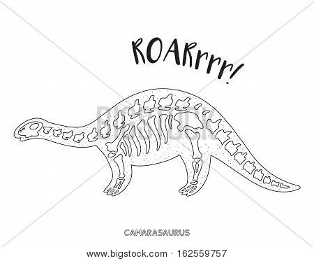 Camarasaurus Skeleton Outline Vector & Photo | Bigstock Camarasaurus Skeleton Outline Vector & Photo | Bigstock