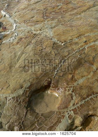 Ocean Rock