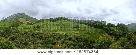 Panoramic view in Munnar in western Ghats Kerala Idukki district India