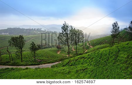 Panoramic view in Munnar in western Ghats Kerala Idukki district India