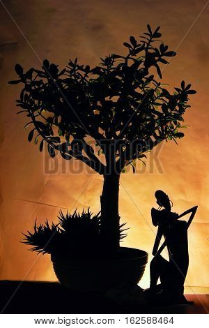 African couple silhoutte ander african trre sunset.Orange.