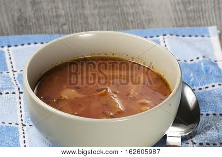 Russian cabbage soup (Shchi) in ceramic bowl