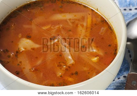 Russian cabbage soup (Shchi) in ceramic bowl