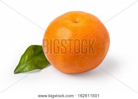 Mandarin tangerine citrus fruit isolated on white background.