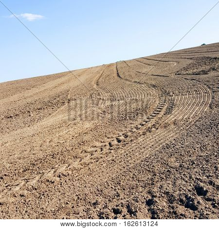 Summer clear field with blue sky on farm land