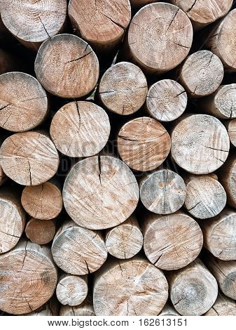 Pile of lumber in pine forest concept